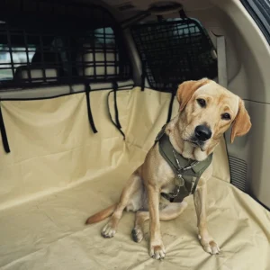 Модульна система зберігання Molle (Молле) для вікон багажника Toyota Land Cruiser Prado 150 / Lexus GX460